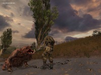 Мод "Boar Play Mod" для игры Сталкер Тени Чернобыля
