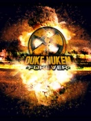 Скачать игру Duke Nukem Forever / RU / Action / 2011 / PC (Торрент)